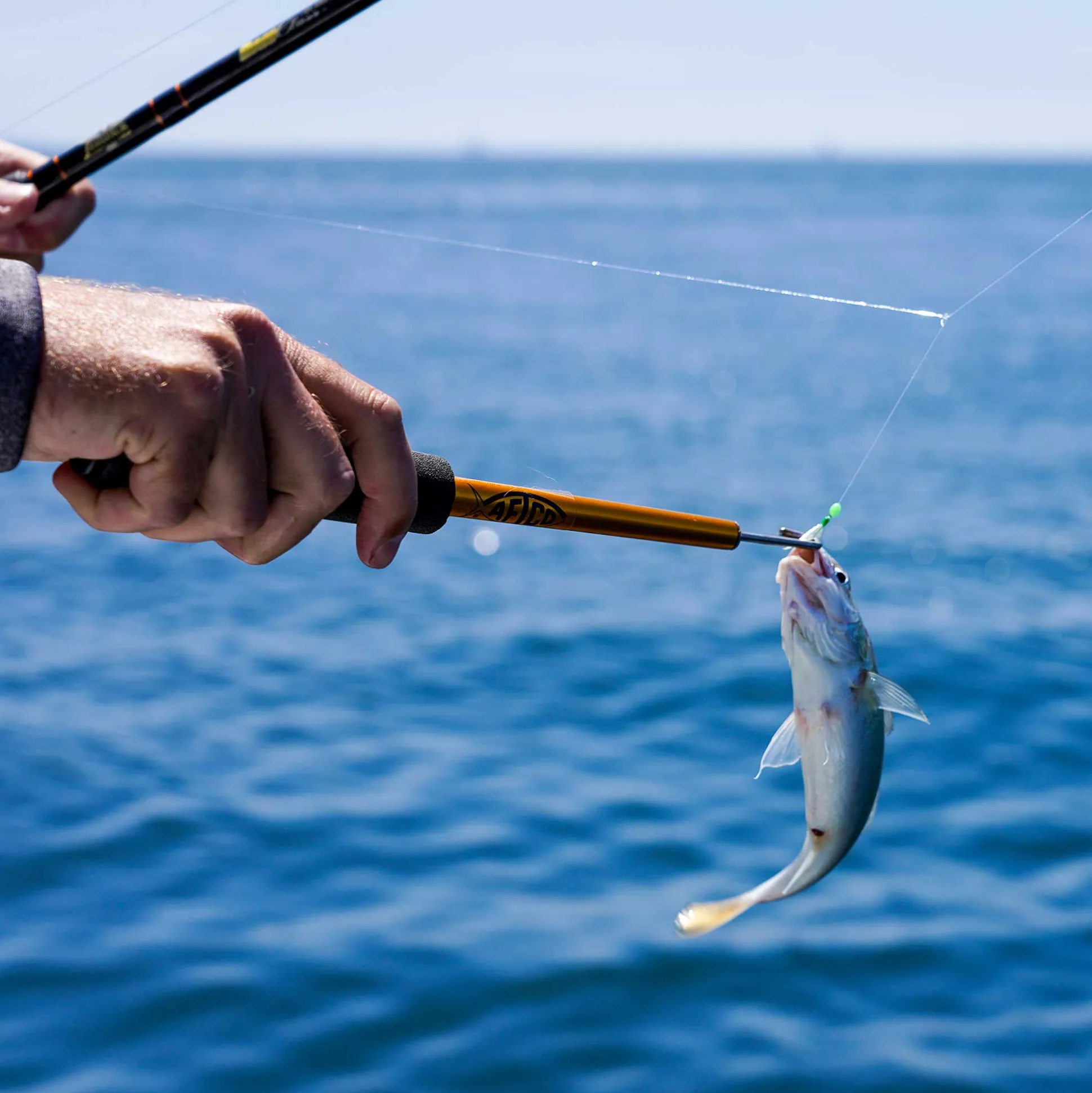 AFTCO Bait Hook Remover | Bait Fish Dehooker
