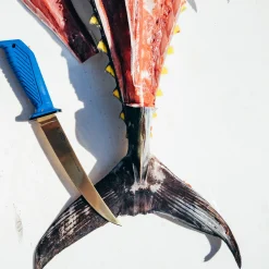 Fillet Knives